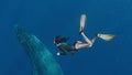 Girl snorkeling with whale, Amazing shot taken on a gopro, Is an Asian freediver swimming next to a magnificent humpback
