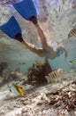 Girl snorkelling in a tropical lagoon - Tahiti