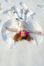 Girl on a snow angel shows. Smiling child lying on snow with copy space. Funny kid making snow angel. Top view. Royalty Free Stock Photo