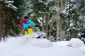 Girl snowboarder rides freeride on powder snow in forest