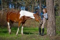 Girl sportswoman and her horse in the spring