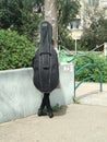 girl stands with her back with a large musical instrument cello in a case, street in summer