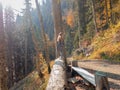A girl stands on a huge fallen tree on a mountainside in the autumn forest Royalty Free Stock Photo