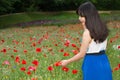 Girl stands in poppy field Royalty Free Stock Photo