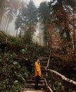 A girl stands on the stairs in the coniferous forest.