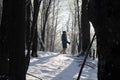 A girl stands in a winter forest on a frosty day. Blue tint