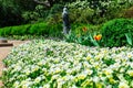 Girl Statue in Viola and Tulip Flowerbed