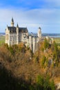 A girl looking at castle Neuschwanstein