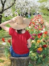 girl with straw boater hat in the field of Tulips flowers