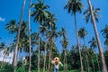 Girl in straw hat against the background of tropical coconut trees and blue sky. Walk in the Rainforest on the island. The girl Royalty Free Stock Photo