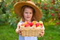 Girl in straw hat, holding wicker basket with apples Royalty Free Stock Photo