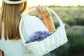 Girl with a basket of lavender