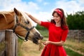 Girl stroked her horse Royalty Free Stock Photo