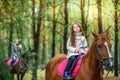 Girl strolls on her horse, active rest Royalty Free Stock Photo