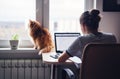 Girl student freelancer working at home on a task, the cat is si Royalty Free Stock Photo