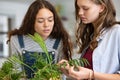 Girl studying plants growth at high school