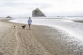 Girl in a sweatshirt walks her dogs along the coast in the Pacific Northwest Royalty Free Stock Photo