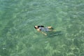 Girl swimming in the ocean Royalty Free Stock Photo