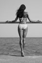 Girl in swimsuit standing back. Athletic body Royalty Free Stock Photo