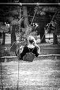 Girl swinging in Central park Royalty Free Stock Photo