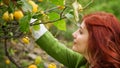 A Girl takes yellow bergamot from tree.