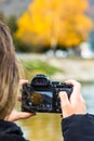 Girl taking photos of an autumn tree, autumn colors of a park in Orsova, Romania, 2020 Royalty Free Stock Photo