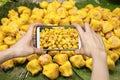 Pictures on mobile smart phone in Chinese Steamed Dumpling on banana leaf in Fresh maket