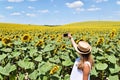 A girl taking selfie in a sunflower farm