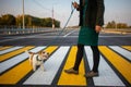 The girl teaches the dog to cross the pedestrian crossing Royalty Free Stock Photo