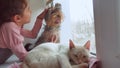 Girl teen and pets cat and dog looking out pet the window, the cat sleeps Royalty Free Stock Photo