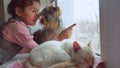 Girl teen and pets cat and dog looking out the window, the cat pet sleeps Royalty Free Stock Photo