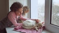 Girl teen and pets cat and dog looking out the window, cat sleeps pet Royalty Free Stock Photo