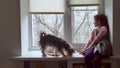 Girl teen and pets cat and pet dog a looking out window, cat sleeps Royalty Free Stock Photo