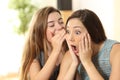 Girl telling secrets to her amazed friend Royalty Free Stock Photo