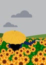 A girl is testing a sunflower field under her umbrella, whether or not there is rain.