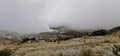 Girl in thik fog papandayan mountain Royalty Free Stock Photo
