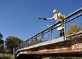 Girl throws maple sheet to the water from bridge