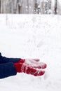 Girl throws snow up in the grove with tall trees Royalty Free Stock Photo