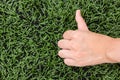 Girl Thumbs on background lawn Royalty Free Stock Photo