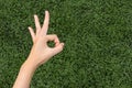 Girl Thumbs ok on background lawn Royalty Free Stock Photo