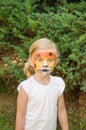 Girl with tiger face painting Royalty Free Stock Photo