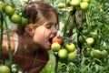Girl and tomatoes Royalty Free Stock Photo