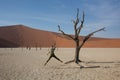 A girl tourist in a baseball cap and hiking clothes is jumping next to the dead trees in Dead Vlei against the Royalty Free Stock Photo