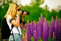 Girl tourist with a camera takes pictures of beautiful lilac lupine flowers