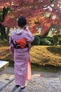 Girl in traditional Kimono in kanazawa garden in autumn.