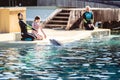 Girl with a trainer playing with a dolphin at Seaworld in Orlando, Florida Royalty Free Stock Photo