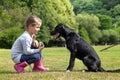 Girl training dog in park friendship Royalty Free Stock Photo