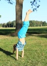 Girl training handstand