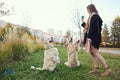 Girl trains two golden retrievers in the park on green grass Royalty Free Stock Photo