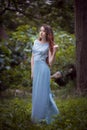 The girl in transparent dress Royalty Free Stock Photo